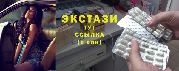 гашик Алексин