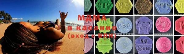 гашик Алексин