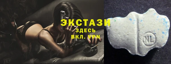 гашик Алексин