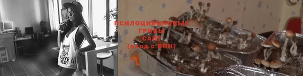 дурь Алексеевка