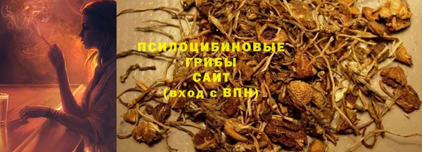 гашик Алексин
