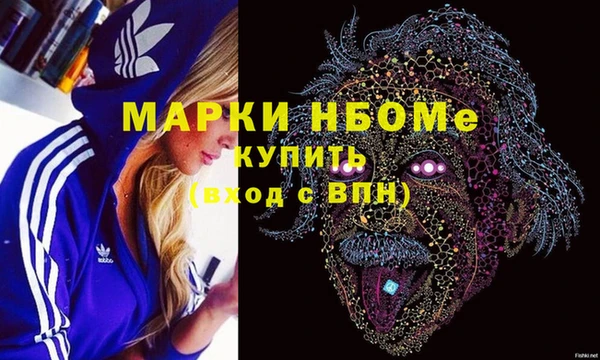 гашик Алексин