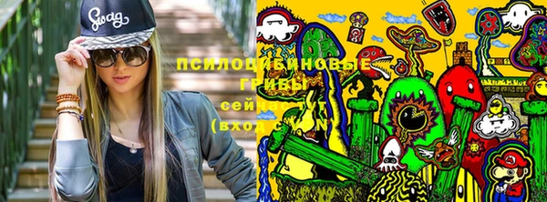 дурь Алзамай