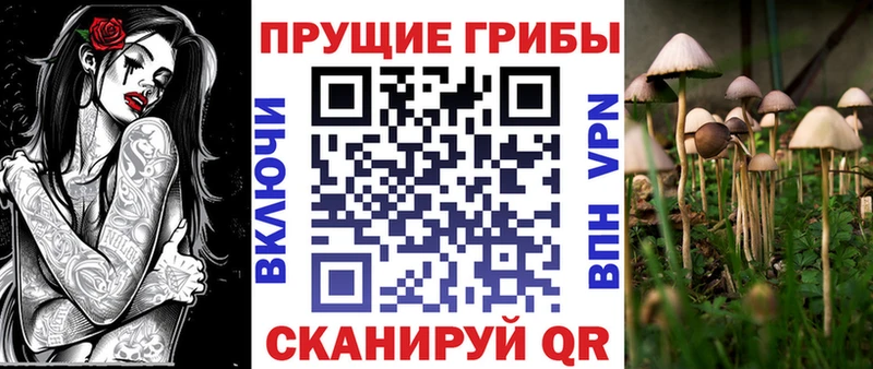 Псилоцибиновые грибы GOLDEN TEACHER  Гвардейск 